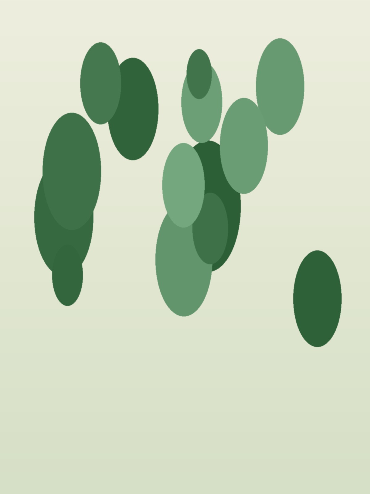 Botanical Fragment